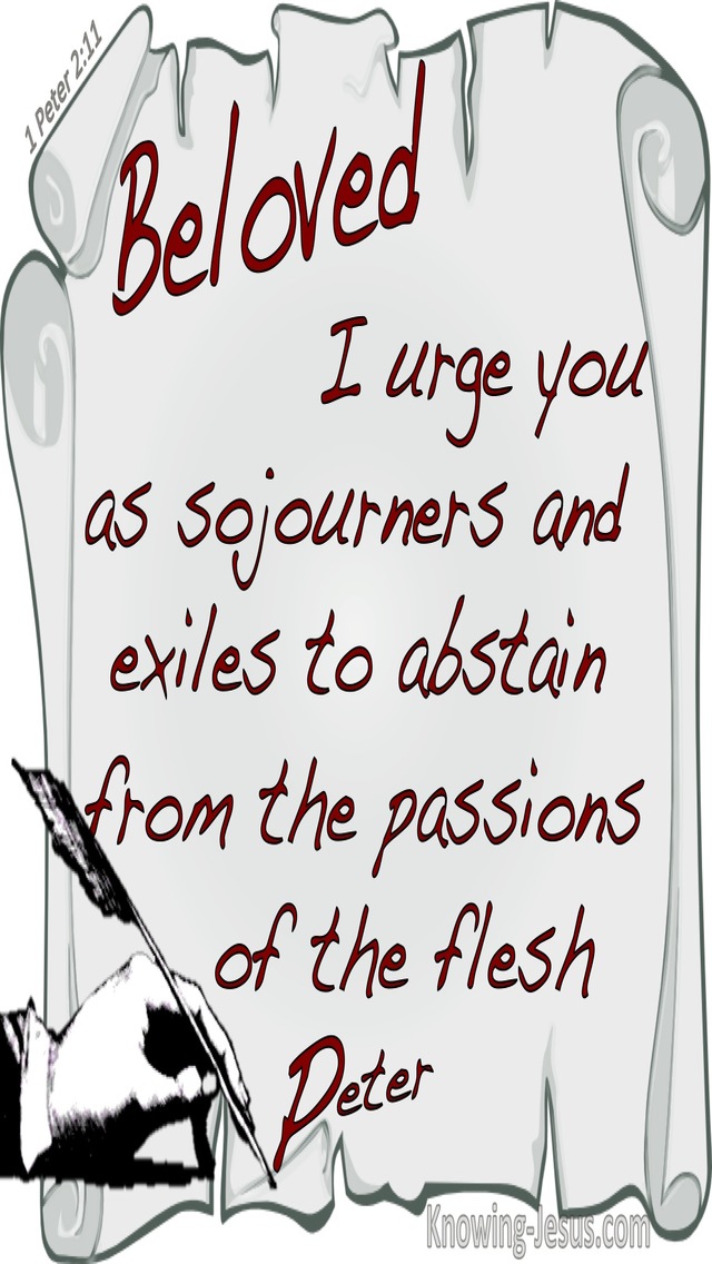 1 Peter 2:11 Abstain From Fleshly Passions (gray)